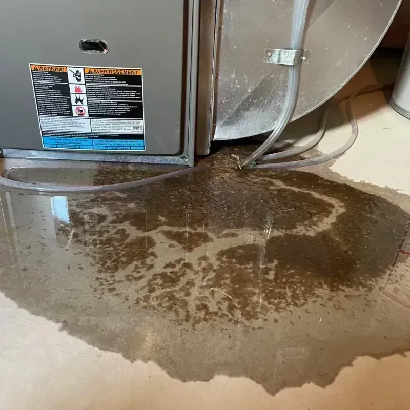 Appliance Leak Cleanup in Waterloo, IL